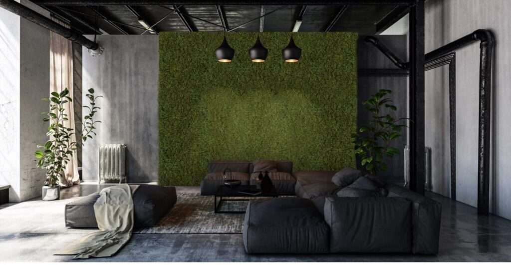 muschio del tamarindo parete divisoria